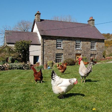 LlandysulNantgwynfaen Organic Farm Wales别墅 外观 照片