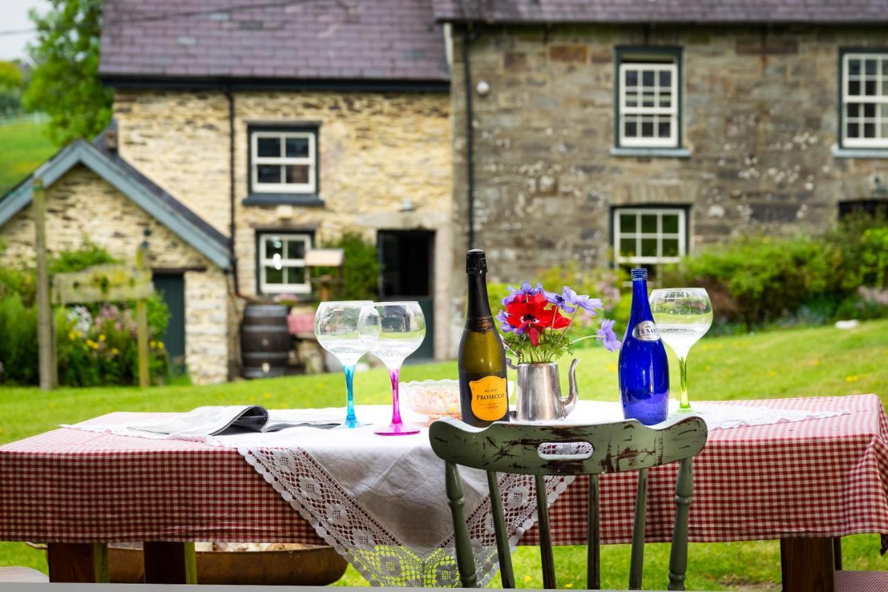 LlandysulNantgwynfaen Organic Farm Wales别墅 外观 照片