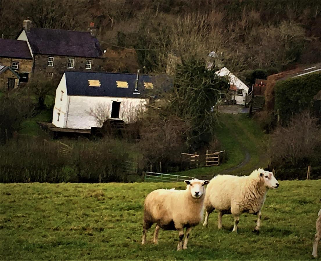 LlandysulNantgwynfaen Organic Farm Wales别墅 外观 照片