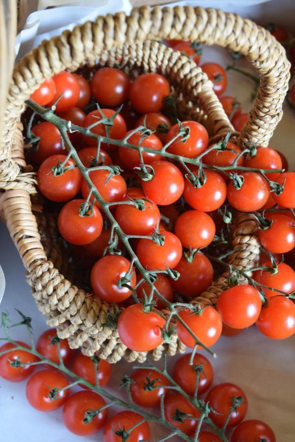 LlandysulNantgwynfaen Organic Farm Wales别墅 外观 照片