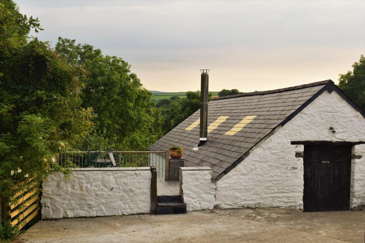 LlandysulNantgwynfaen Organic Farm Wales别墅 外观 照片