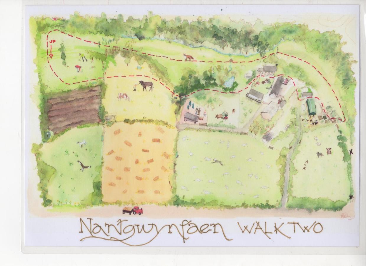 LlandysulNantgwynfaen Organic Farm Wales别墅 外观 照片