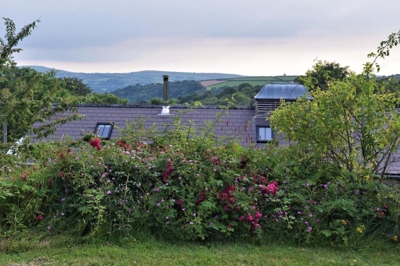 LlandysulNantgwynfaen Organic Farm Wales别墅 外观 照片