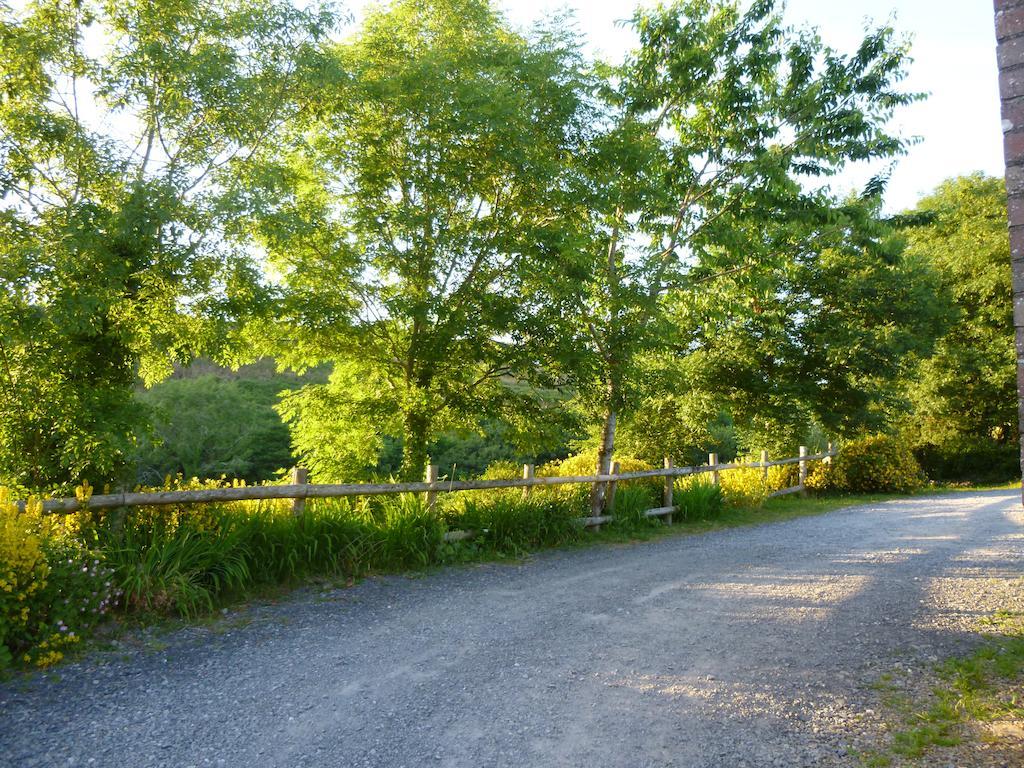 LlandysulNantgwynfaen Organic Farm Wales别墅 外观 照片