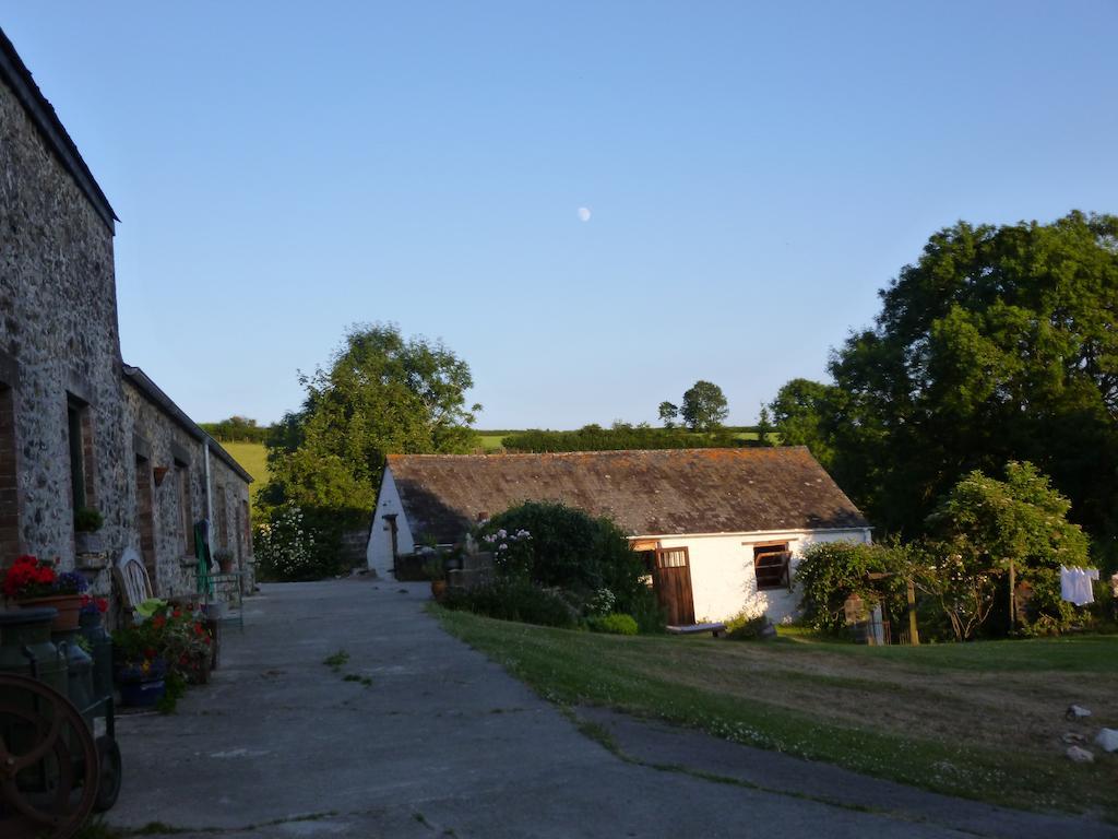 LlandysulNantgwynfaen Organic Farm Wales别墅 外观 照片