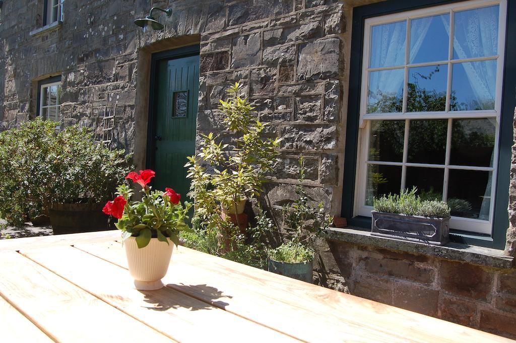 LlandysulNantgwynfaen Organic Farm Wales别墅 外观 照片