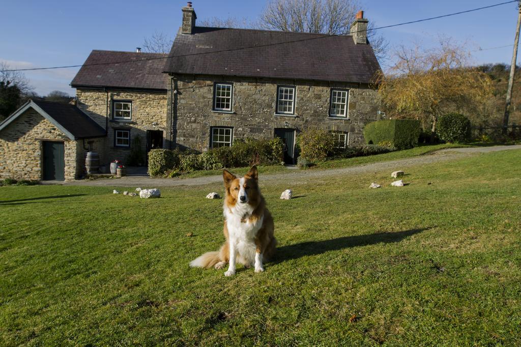 LlandysulNantgwynfaen Organic Farm Wales别墅 外观 照片